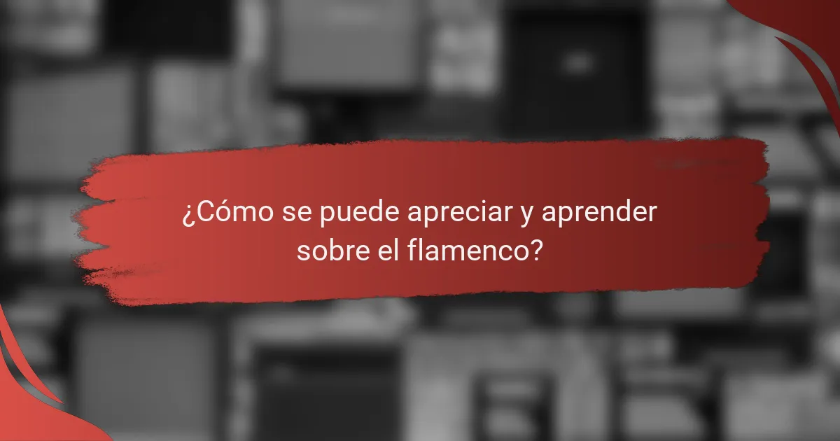 ¿Cómo se puede apreciar y aprender sobre el flamenco?