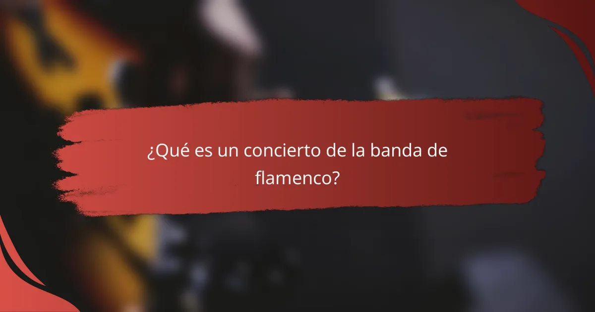 ¿Qué es un concierto de la banda de flamenco?